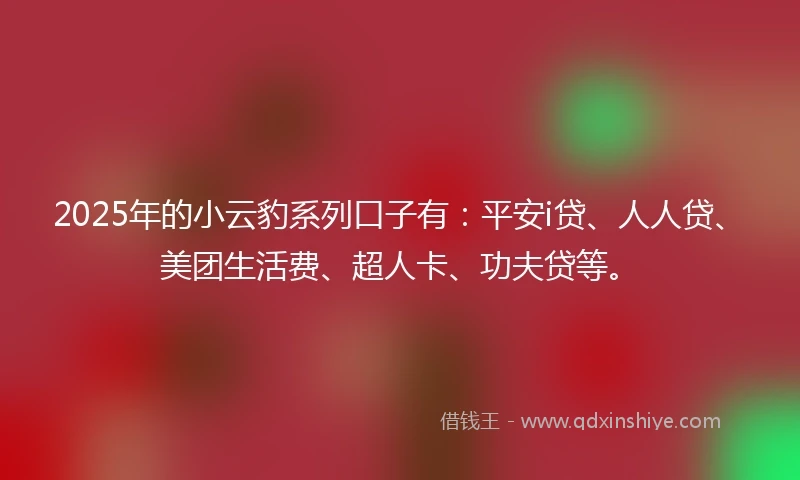 2025年的小云豹系列口子有：平安i贷、人人贷、美团生活费、超人卡、功夫贷等。