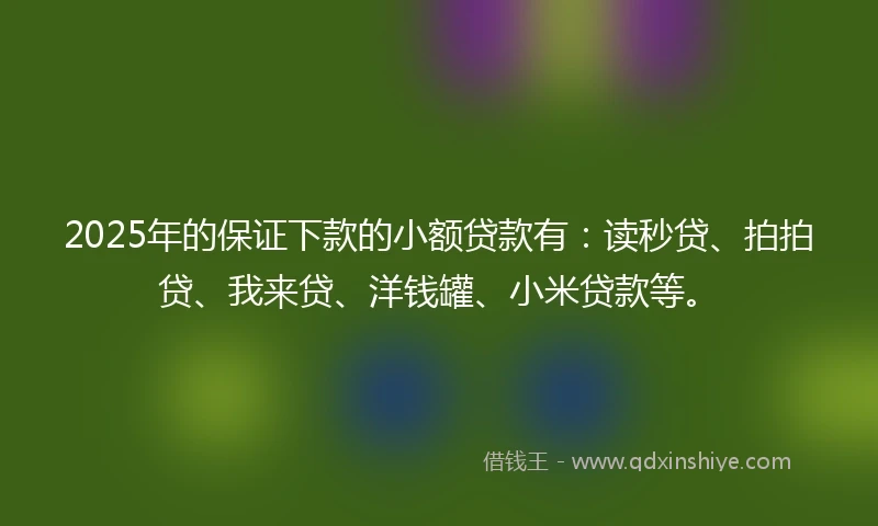 2025年的保证下款的小额贷款有：读秒贷、拍拍贷、我来贷、洋钱罐、小米贷款等。