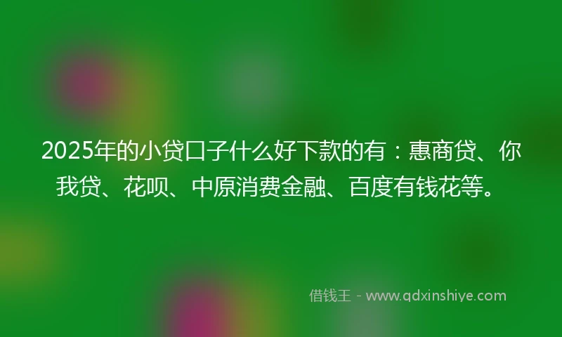 2025年的小贷口子什么好下款的有：惠商贷、你我贷、花呗、中原消费金融、百度有钱花等。