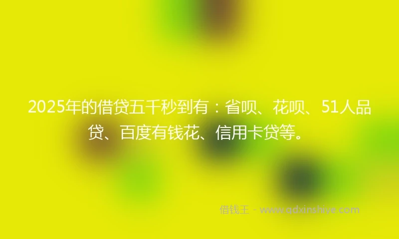 2025年的借贷五千秒到有：省呗、花呗、51人品贷、百度有钱花、信用卡贷等。