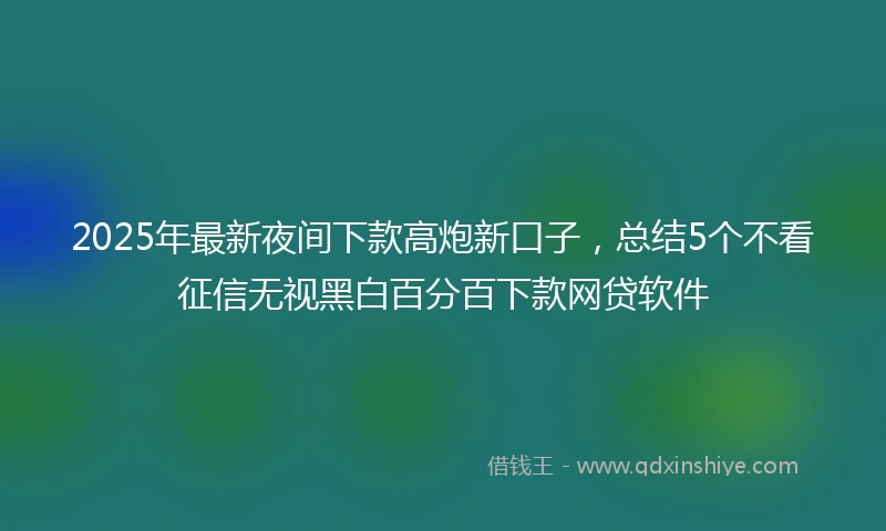 2025年最新夜间下款高炮新口子，总结5个不看征信无视黑白百分百下款网贷软件