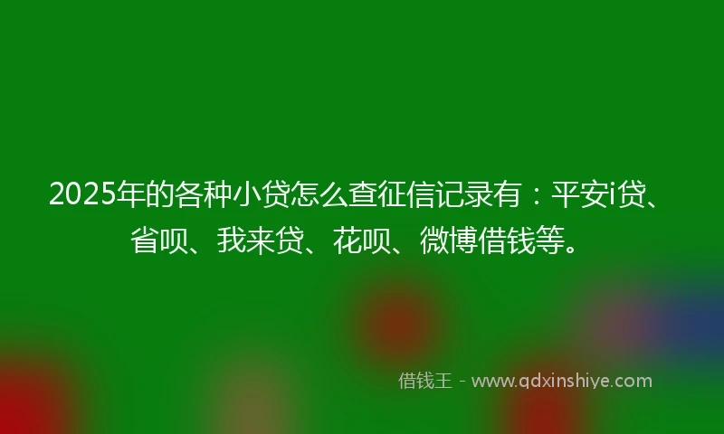 2025年的各种小贷怎么查征信记录有：平安i贷、省呗、我来贷、花呗、微博借钱等。