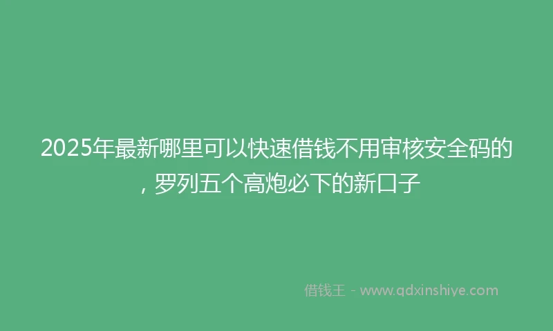 2025年最新哪里可以快速借钱不用审核安全码的，罗列五个高炮必下的新口子