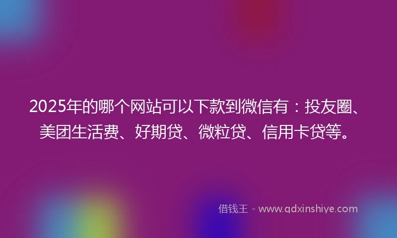2025年的哪个网站可以下款到微信有：投友圈、美团生活费、好期贷、微粒贷、信用卡贷等。