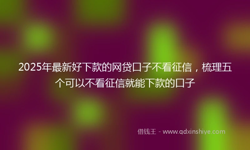 2025年最新好下款的网贷口子不看征信，梳理五个可以不看征信就能下款的口子