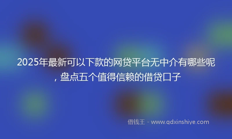 2025年最新可以下款的网贷平台无中介有哪些呢，盘点五个值得信赖的借贷口子