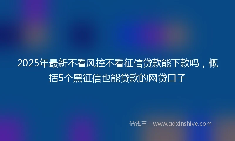 2025年最新不看风控不看征信贷款能下款吗，概括5个黑征信也能贷款的网贷口子