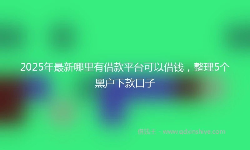 2025年最新哪里有借款平台可以借钱，整理5个黑户下款口子
