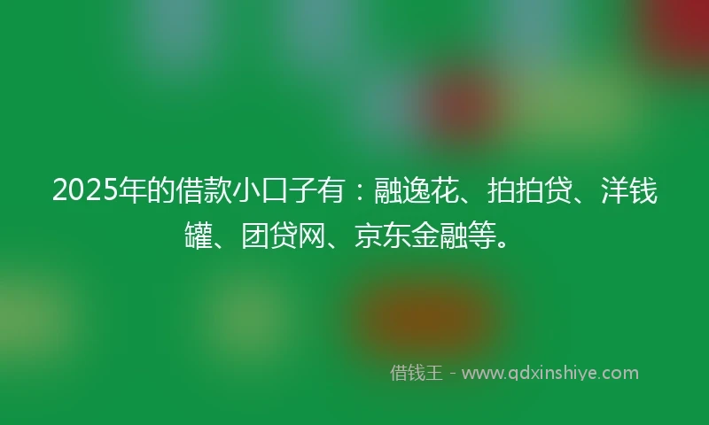 2025年的借款小口子有：融逸花、拍拍贷、洋钱罐、团贷网、京东金融等。