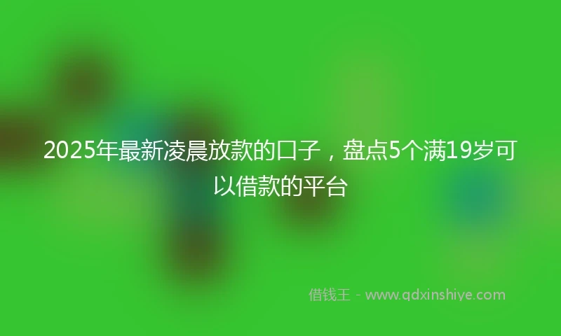 2025年最新凌晨放款的口子，盘点5个满19岁可以借款的平台