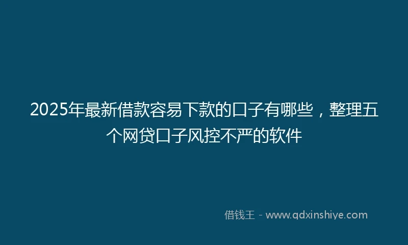 2025年最新借款容易下款的口子有哪些，整理五个网贷口子风控不严的软件