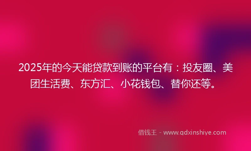 2025年的今天能贷款到账的平台有：投友圈、美团生活费、东方汇、小花钱包、替你还等。