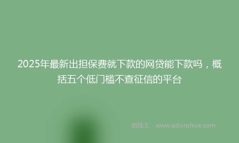 2025年最新出担保费就下款的网贷能下款吗，概括五个低门槛不查征信的平台