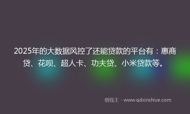 2025年的大数据风控了还能贷款的平台有:惠商贷、花呗、超人卡、功夫贷、小米贷款等。