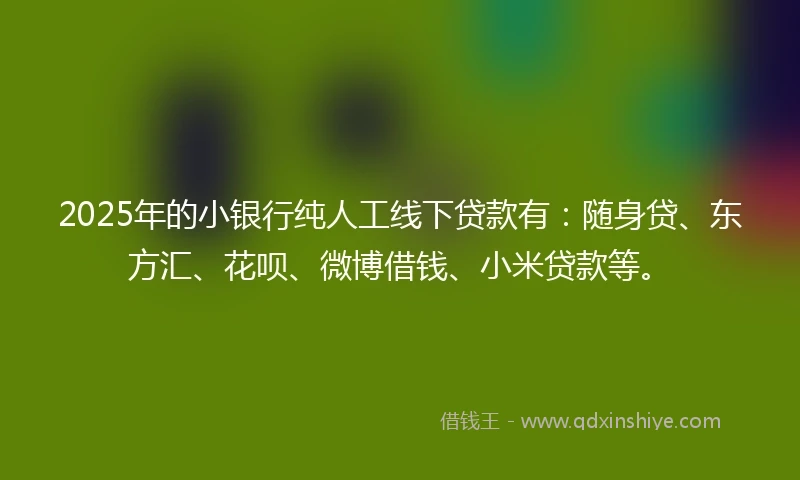 2025年的小银行纯人工线下贷款有：随身贷、东方汇、花呗、微博借钱、小米贷款等。
