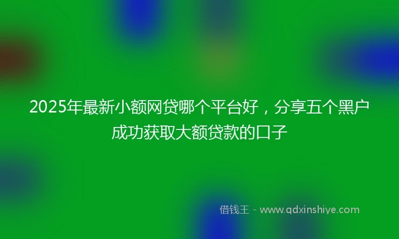 2025年最新小额网贷哪个平台好，分享五个黑户成功获取大额贷款的口子