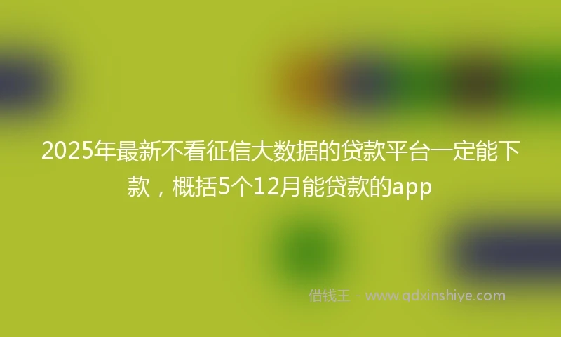 2025年最新不看征信大数据的贷款平台一定能下款，概括5个12月能贷款的app