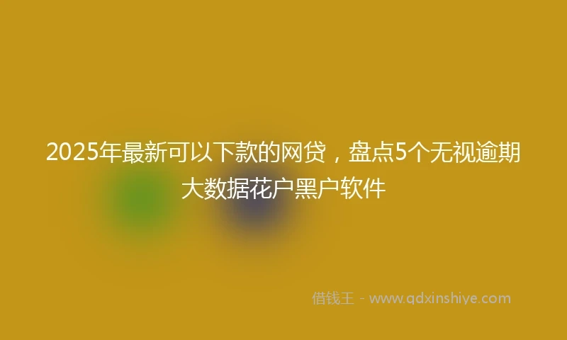 2025年最新可以下款的网贷，盘点5个无视逾期大数据花户黑户软件