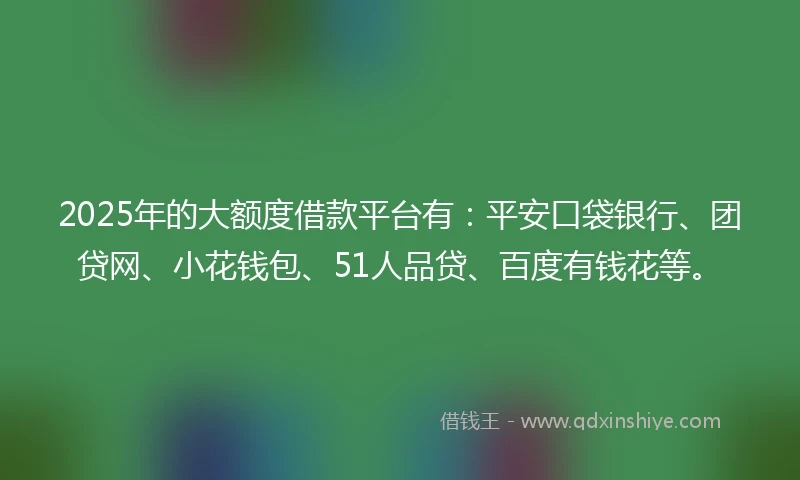 2025年的大额度借款平台有：平安口袋银行、团贷网、小花钱包、51人品贷、百度有钱花等。