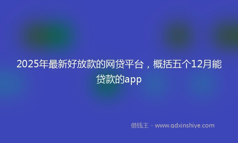 2025年最新好放款的网贷平台，概括五个12月能贷款的app