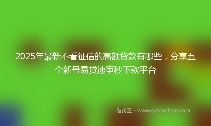 2025年最新不看征信的高额贷款有哪些，分享五个新号易贷速审秒下款平台