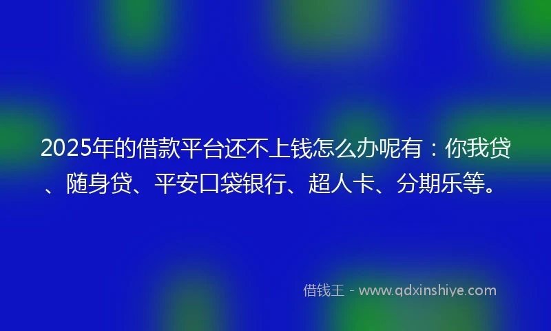 2025年的借款平台还不上钱怎么办呢有：你我贷、随身贷、平安口袋银行、超人卡、分期乐等。