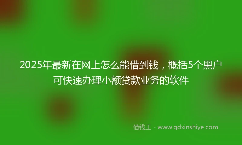 2025年最新在网上怎么能借到钱，概括5个黑户可快速办理小额贷款业务的软件