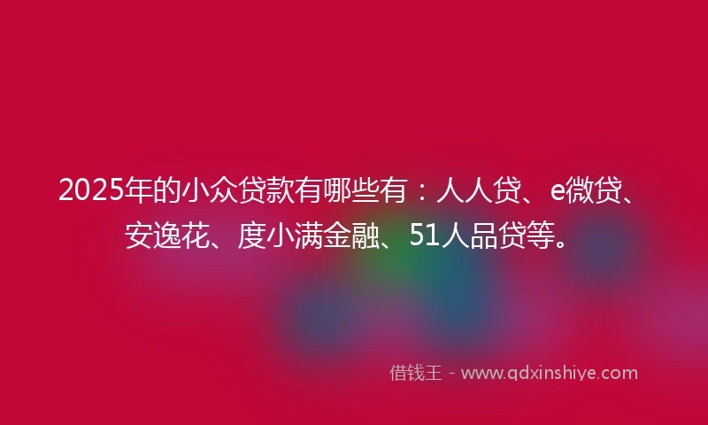 2025年的小众贷款有哪些有：人人贷、e微贷、安逸花、度小满金融、51人品贷等。