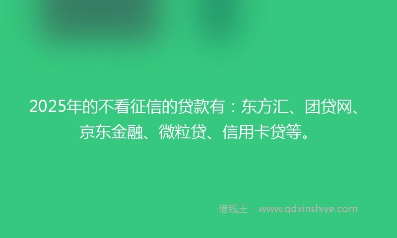 2025年的不看征信的贷款有：东方汇、团贷网、京东金融、微粒贷、信用卡贷等。