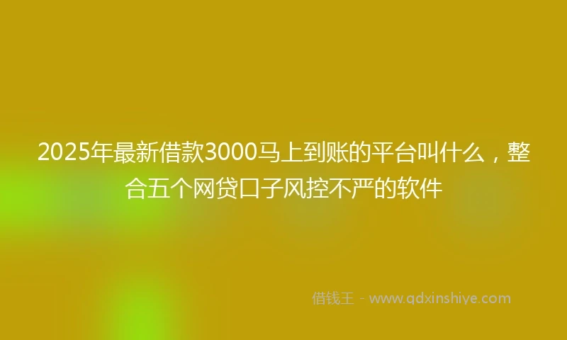 2025年最新借款3000马上到账的平台叫什么，整合五个网贷口子风控不严的软件