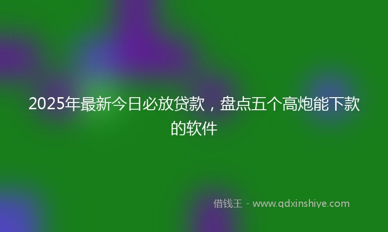 2025年最新今日必放贷款，盘点五个高炮能下款的软件