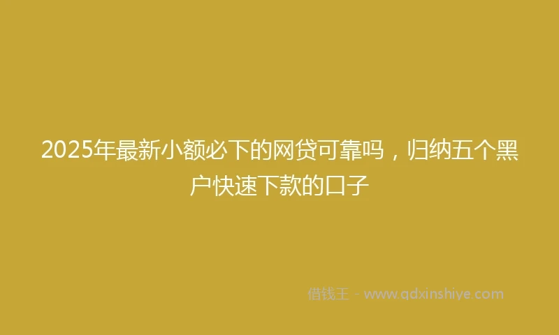 2025年最新小额必下的网贷可靠吗,归纳五个黑户快速下款的口子