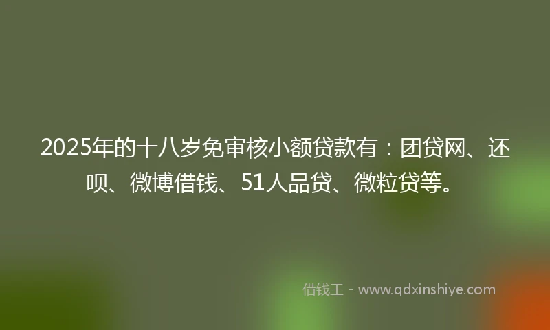 2025年的十八岁免审核小额贷款有：团贷网、还呗、微博借钱、51人品贷、微粒贷等。