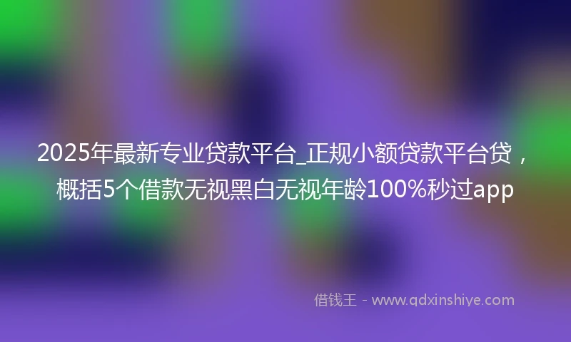 2025年最新专业贷款平台_正规小额贷款平台贷，概括5个借款无视黑白无视年龄100%秒过app