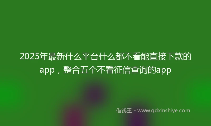 2025年最新什么平台什么都不看能直接下款的app，整合五个不看征信查询的app