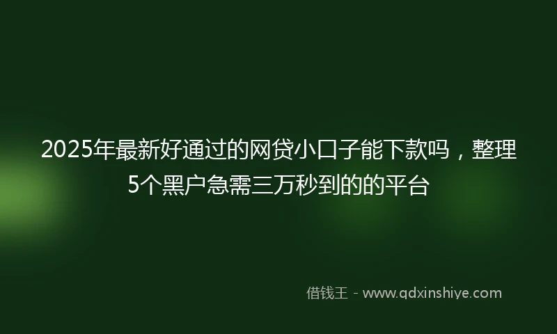 2025年最新好通过的网贷小口子能下款吗，整理5个黑户急需三万秒到的的平台