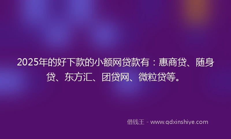 2025年的好下款的小额网贷款有：惠商贷、随身贷、东方汇、团贷网、微粒贷等。
