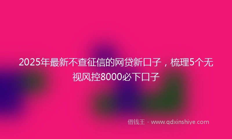 2025年最新不查征信的网贷新口子，梳理5个无视风控8000必下口子