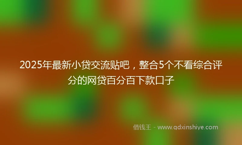 2025年最新小贷交流贴吧，整合5个不看综合评分的网贷百分百下款口子