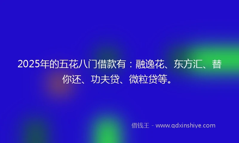 2025年的五花八门借款有：融逸花、东方汇、替你还、功夫贷、微粒贷等。
