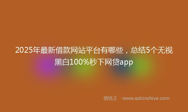 2025年最新借款网站平台有哪些，总结5个无视黑白100%秒下网贷app