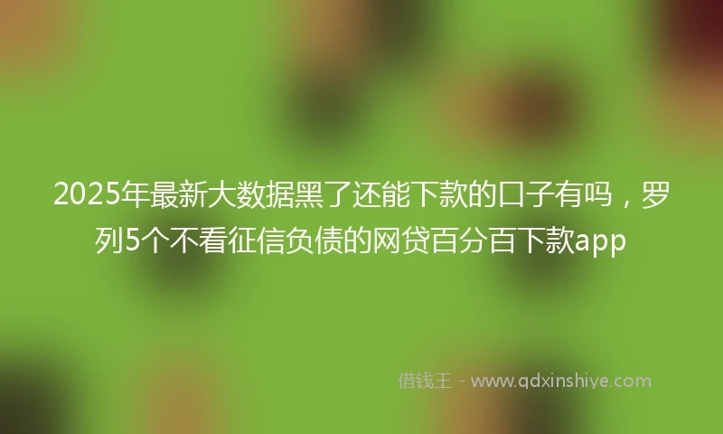 2025年最新大数据黑了还能下款的口子有吗，罗列5个不看征信负债的网贷百分百下款app