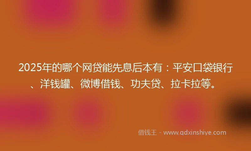 2025年的哪个网贷能先息后本有：平安口袋银行、洋钱罐、微博借钱、功夫贷、拉卡拉等。