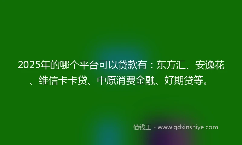 2025年的哪个平台可以贷款有：东方汇、安逸花、维信卡卡贷、中原消费金融、好期贷等。