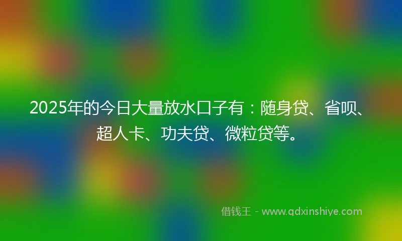 2025年的今日大量放水口子有：随身贷、省呗、超人卡、功夫贷、微粒贷等。