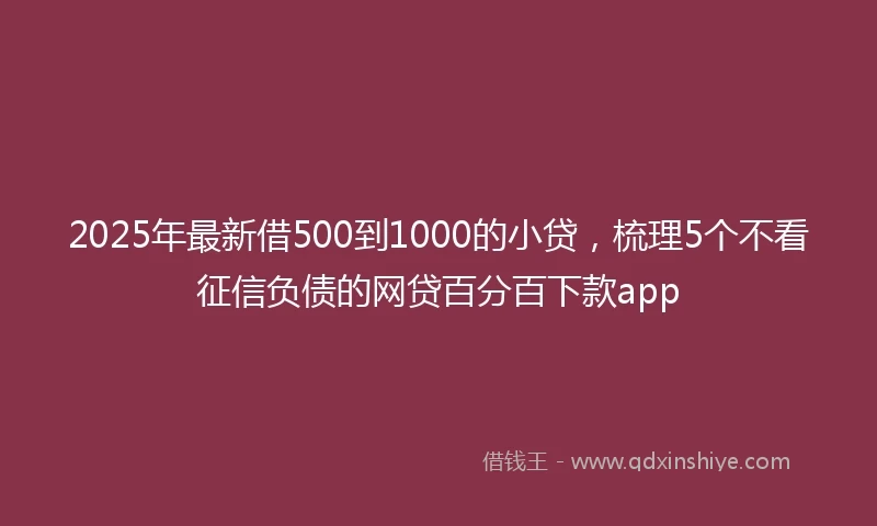 2025年最新借500到1000的小贷，梳理5个不看征信负债的网贷百分百下款app