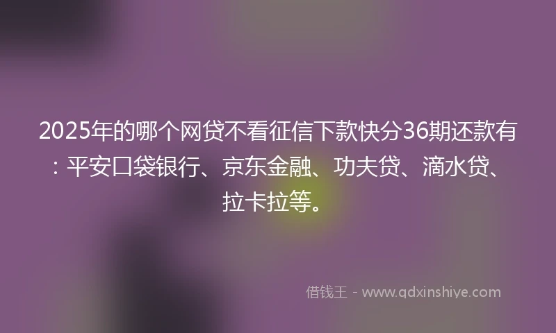 2025年的哪个网贷不看征信下款快分36期还款有：平安口袋银行、京东金融、功夫贷、滴水贷、拉卡拉等。