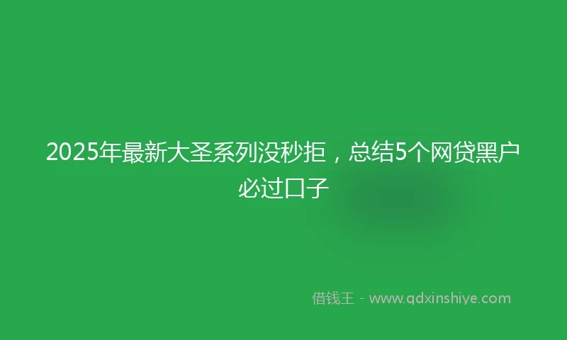 2025年最新大圣系列没秒拒，总结5个网贷黑户必过口子