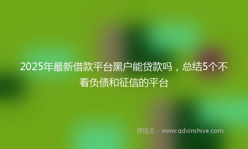 2025年最新借款平台黑户能贷款吗，总结5个不看负债和征信的平台