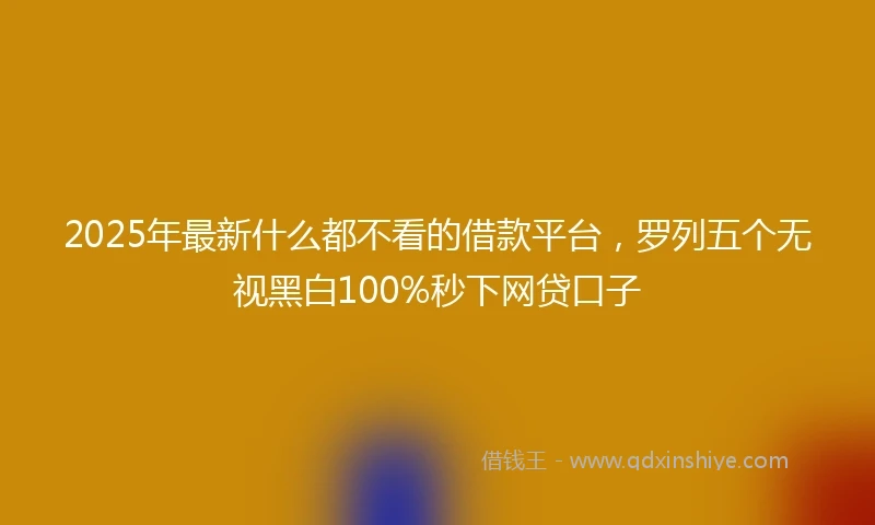 2025年最新什么都不看的借款平台，罗列五个无视黑白100%秒下网贷口子